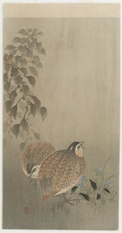 关于小原的语句