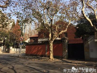 漫步梧桐下，寻找失落的美