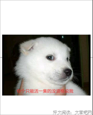 一来么倾城名句欣赏