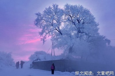 遗忘的忧伤经典名句