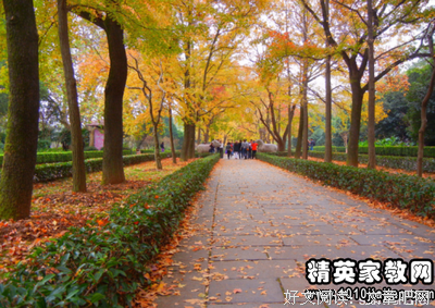 关于自己写的，喜欢格是一好好的优美句子