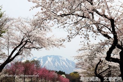 有关小岩井15句经典名言