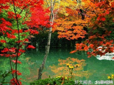 有关张悦然经典语录