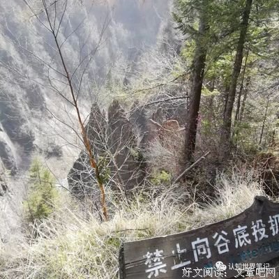 最经典的张方宇的名言