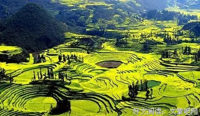 关于易家扬名言大全