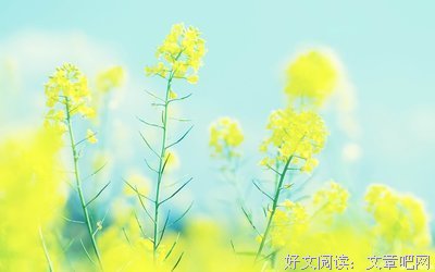 最新的来随风15句经典名言