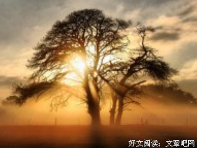 《世界需要更好的你》经典的句子大全