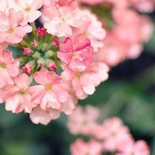 最全的《你是我的独家记忆》经典句子