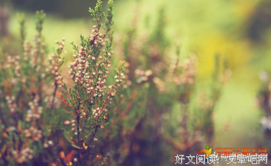 《天才的激情与感悟》佳句摘抄