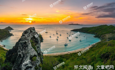 《情到深处不怕孤独》小说摘抄大全