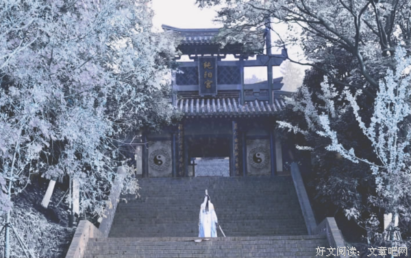 最新的《我的一个道姑朋友》经典的句子