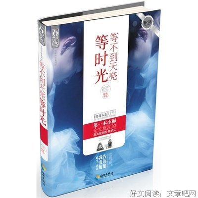 最全的《等不到天亮等时光》经典语句
