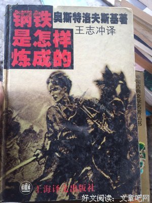 最经典的《钢铁是怎样炼成的》小说书摘