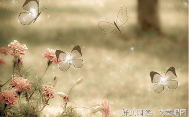 最全的《和你在一起我很高兴》经典语句