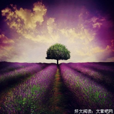 最经典的《我们无处安放的青春》名句欣赏大全