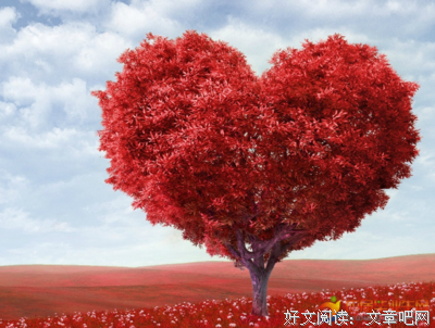 最经典的《爱是一种微妙的滋养》经典名句