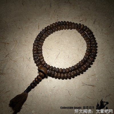 老珠的语句摘抄_关于老珠的语句