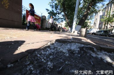 杨絮的句子