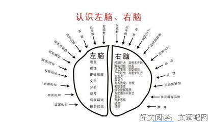 阿米的名言_关于阿米的名言