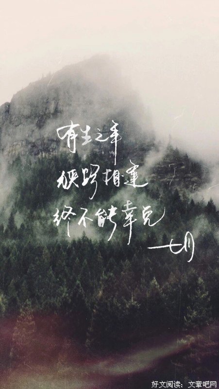 关于文以的唯美语录