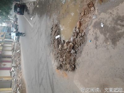 这只猫怕是要骚气冲天了