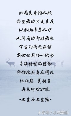 有关一纸流年的句子