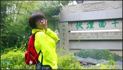 《竹林之林》的句子