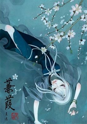 蒹葭的优美句子