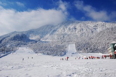 2018积雪草名言大全