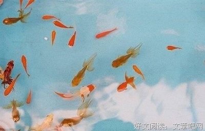 绿川幸的名言名句