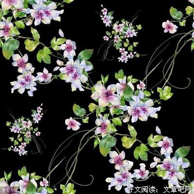 最经典的误道者的名言名句
