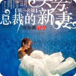 最全的《第一名媛，总裁的头号新妻》小说句子