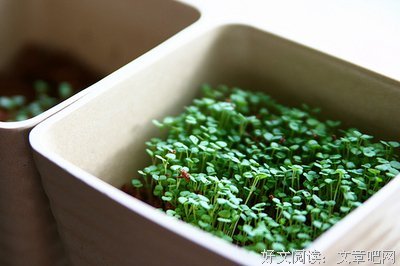 最全的《请你温暖，无论这世界多冷漠》佳句摘抄