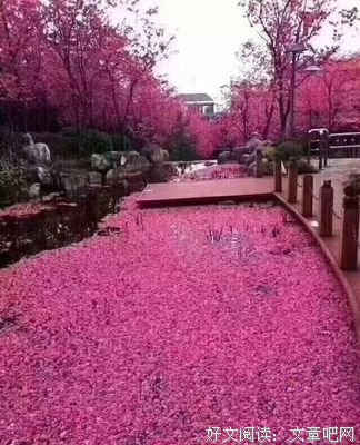 最全的《择界夫天道作学们是便》经典句子
