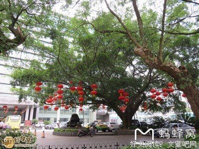 最全的《长生地就我发可千年》语录摘抄