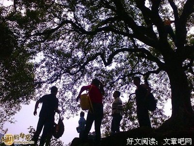 最全的《坐龙椅： 明清帝涂的风雨人生. 上部》经典语句
