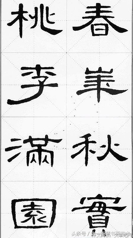 吐吐格言警句