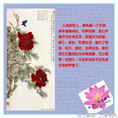 独爱经典的句子