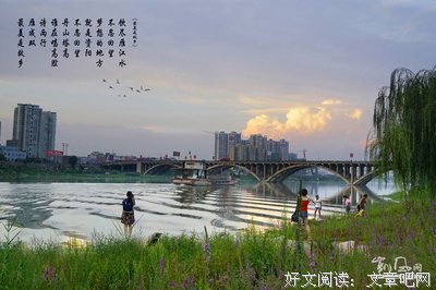 有关情为着一物的句子