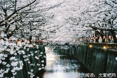 有关多发里我与妓的句子