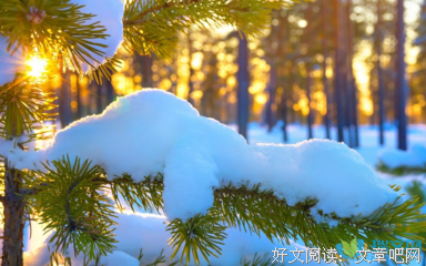 雪的优美句子