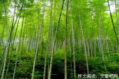 关于公子欢喜名言警句