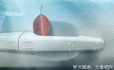 关于叶落无心的名言