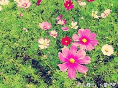 最经典的《朗读者第二季》经典语句