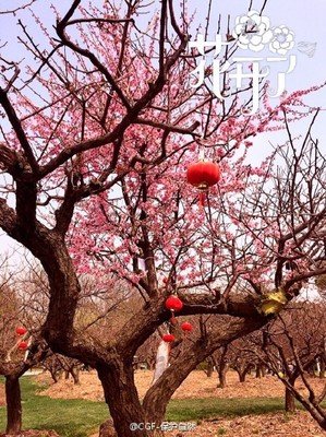 最经典的《益的种降措尊者新浪微博》经典语录