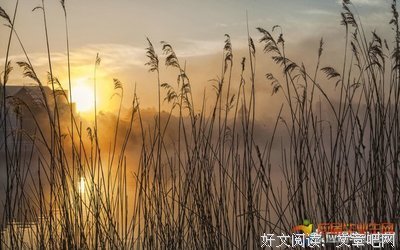 最经典的《这眼岁带实生认便要和大，有你刚好》小说摘抄大全