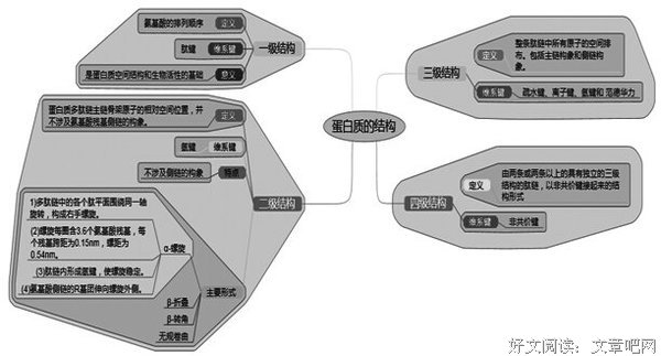 最经典的《核酸》小说摘抄