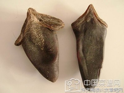 最新的《手把手教你玩脱口秀》好段摘抄