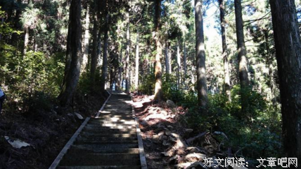 《羊与钢的森方》好段摘抄大全