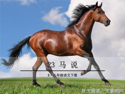 《你好像一只刺猬，可我好想抱抱你》小说句子